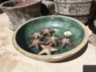 Ocean Rock - Various Sea Life ( Lightweight )