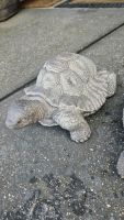 Ocean Rock Turtle