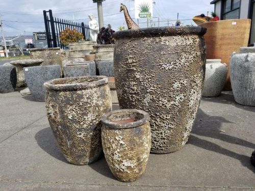 Ocean Rock Decor Jar - 3 Size 
